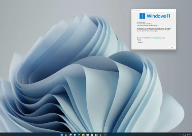 Windows 11 Offers Intuitive Design for Everyday Productivity